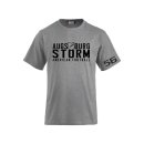 Augsburg Storm Team-TShirt - Grey 4XL